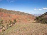 20190903-IMG 0933 : 2019, Mongolei, Mongolia