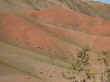 20190903-IMG 0935 : 2019, Mongolei, Mongolia