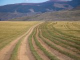 20190903-IMG 0985 : 2019, Mongolei, Mongolia