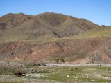 20190903-IMG 0991 : 2019, Mongolei, Mongolia