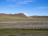 20190903-IMG 0992 : 2019, Mongolei, Mongolia
