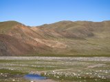 20190903-IMG 0993 : 2019, Mongolei, Mongolia