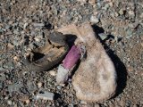 20190904-IMG 1029 : 2019, Mongolei, Mongolia