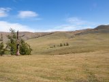20190904-IMG 1038 : 2019, Mongolei, Mongolia