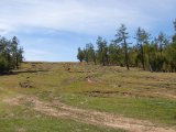 20190904-IMG 1047 : 2019, Mongolei, Mongolia