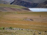 20190904-IMG 1089 : 2019, Mongolei, Mongolia