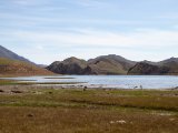20190904-IMG 1097 : 2019, Mongolei, Mongolia