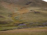 20190904-IMG 1104 : 2019, Mongolei, Mongolia