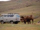 20190904-IMG 1110 : 2019, Mongolei, Mongolia