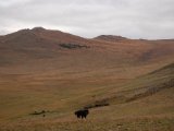20190905-IMG 1118 : 2019, Mongolei, Mongolia