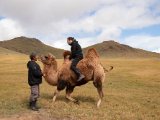 20190905-IMG 1174 : 2019, Mongolei, Mongolia