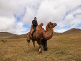 20190905-IMG 1187 : 2019, Mongolei, Mongolia