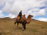 20190905-IMG 1188 : 2019, Mongolei, Mongolia