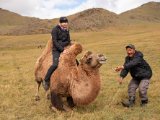 20190905-IMG 1191 : 2019, Mongolei, Mongolia