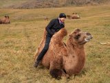 20190905-IMG 1193 : 2019, Mongolei, Mongolia