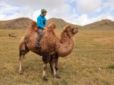 20190905-IMG 1195 : 2019, Mongolei, Mongolia