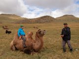 20190905-IMG 1197 : 2019, Mongolei, Mongolia