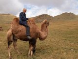 20190905-IMG 1199 : 2019, Mongolei, Mongolia