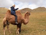 20190905-IMG 1200 : 2019, Mongolei, Mongolia