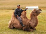 20190905-IMG 1206 : 2019, Mongolei, Mongolia
