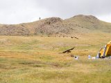 20190905-IMG 1241 : 2019, Mongolei, Mongolia