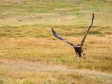 20190905-IMG 1250 : 2019, Mongolei, Mongolia