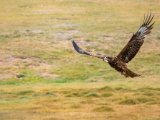 20190905-IMG 1251 : 2019, Mongolei, Mongolia