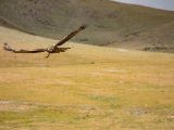 20190905-IMG 1270 : 2019, Mongolei, Mongolia