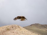 20190905-IMG 1283 : 2019, Mongolei, Mongolia