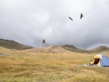 20190905-IMG 1286 : 2019, Mongolei, Mongolia