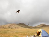 20190905-IMG 1290 : 2019, Mongolei, Mongolia