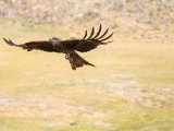 20190905-IMG 1293 : 2019, Mongolei, Mongolia