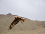 20190905-IMG 1301 : 2019, Mongolei, Mongolia