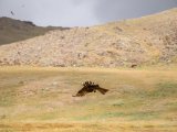 20190905-IMG 1309 : 2019, Mongolei, Mongolia
