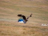 20190905-IMG 1330 : 2019, Mongolei, Mongolia