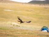 20190905-IMG 1340 : 2019, Mongolei, Mongolia
