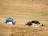 20190905-IMG 1341 : 2019, Mongolei, Mongolia