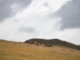 20190905-IMG 1355 : 2019, Mongolei, Mongolia