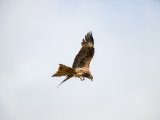 20190905-IMG 1359 : 2019, Mongolei, Mongolia