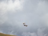 20190905-IMG 1361 : 2019, Mongolei, Mongolia