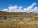 20190906-IMG 1408 : 2019, Mongolei, Mongolia