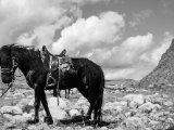 20190906-IMG 1426 : 2019, Mongolei, Mongolia