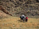 20190906-IMG 1433 : 2019, Mongolei, Mongolia
