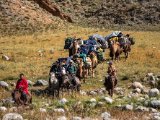20190906-IMG 1434 : 2019, Mongolei, Mongolia