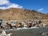 20190906-IMG 1439 : 2019, Mongolei, Mongolia