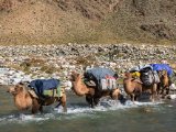 20190906-IMG 1440 : 2019, Mongolei, Mongolia