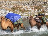 20190906-IMG 1441 : 2019, Mongolei, Mongolia