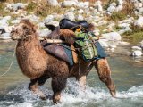 20190906-IMG 1442 : 2019, Mongolei, Mongolia