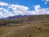 20190906-IMG 1444 : 2019, Mongolei, Mongolia