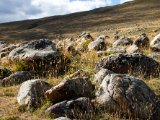 20190906-IMG 1456 : 2019, Mongolei, Mongolia